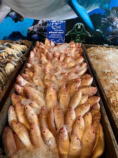 صورة 2
