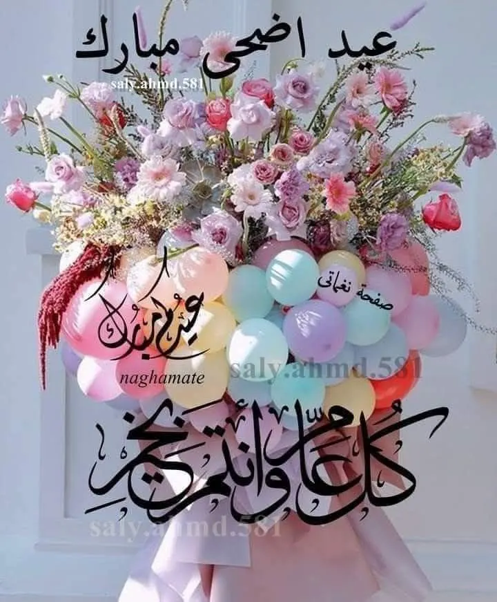عرض الاحبه